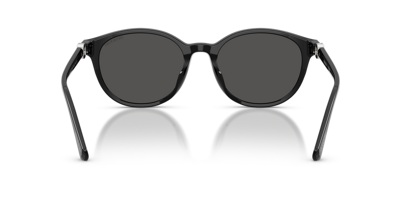 Swarovski SK6075D in Black - Alternate View