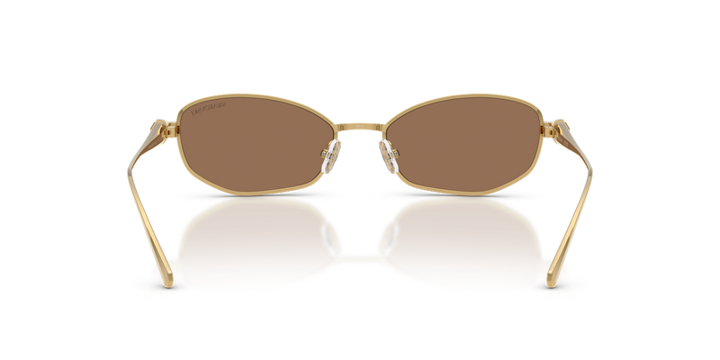 Swarovski SK7042 in Gold / Dark Brown (403773) - Alternate View