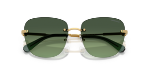 Gold / Gradient Green (40172A)