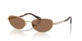 Gold / Dark Brown (400473)