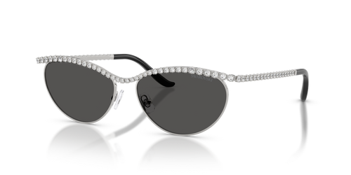 Silver / Dark Grey (400187)
