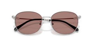 Silver / Light Brown (400173)