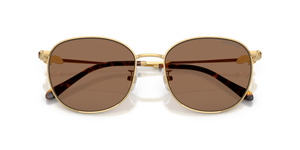 Gold / Dark Brown (403773)