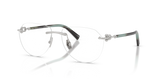 Silver Gold Plated / Demo Lens (6213)