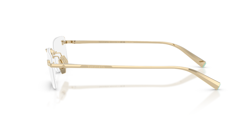 Tiffany TF1177KB in Pale Gold Plated / Demo Lens (6220) - Back View