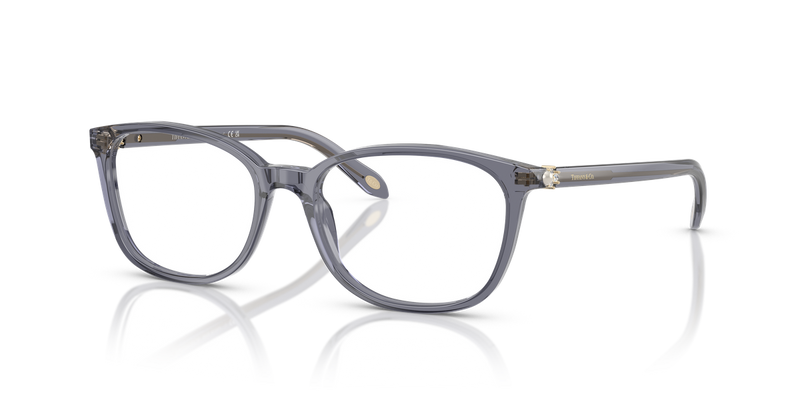 Tiffany TF2109HB in Crystal Dark Violet / Demo Lens (8405) - Alternate View