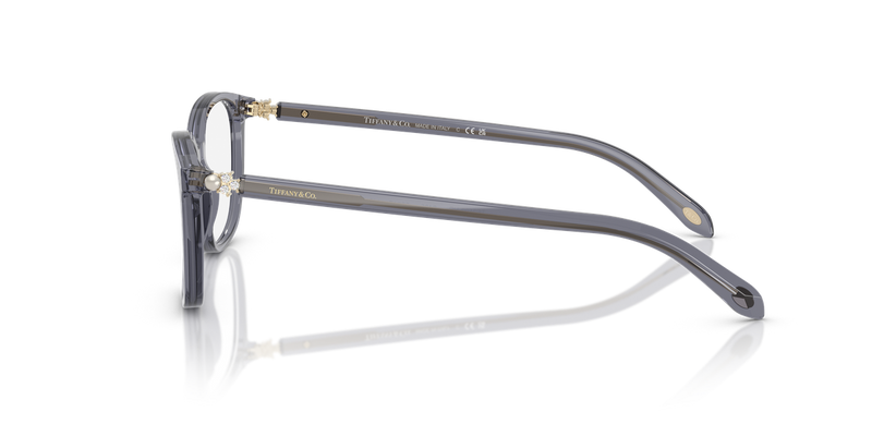 Tiffany TF2109HB in Crystal Dark Violet / Demo Lens (8405) - Alternate View