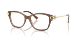 Brown Transparent On Pink / Demo Lens (8255)