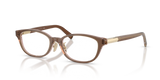 Brown Transparent On Pink / Demo Lens (8255)