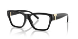Black / Demo Lens (8001)