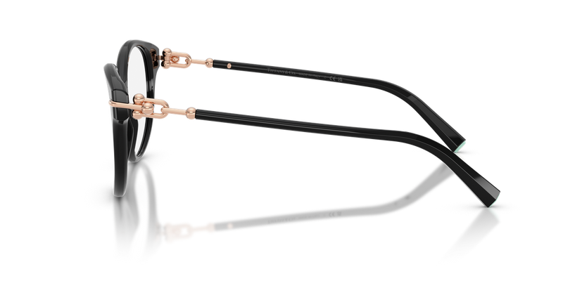 Tiffany TF2289F in Black / Demo Lens (8001) - Back View