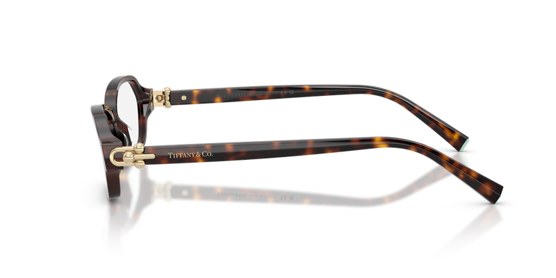 Tiffany TF2293U in Havana / Demo Lens (8015) - Back View