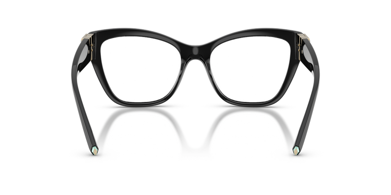 Tiffany TF2301U in Black - Alternate View