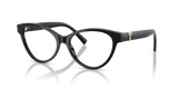 Black / Demo Lens (8001)