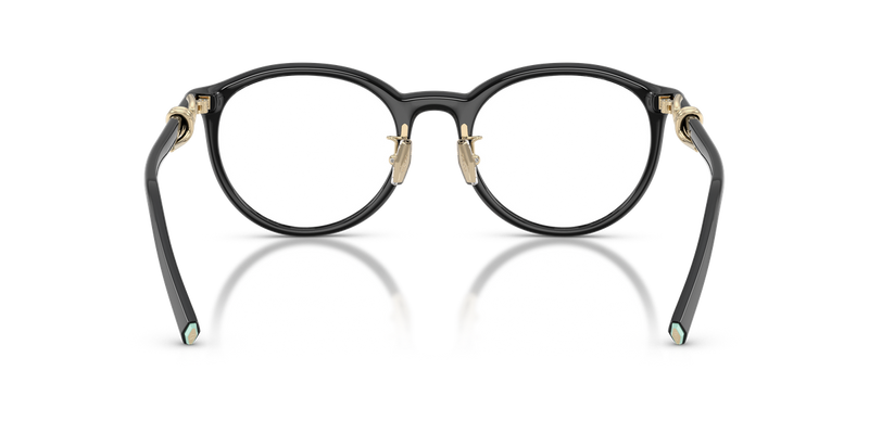 Tiffany TF2304D in Black - Temple Detail