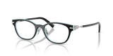 Black On Tiffany Blue / Demo Lens (8055)