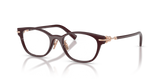 Deep Transparent Ruby / Demo Lens (8470)