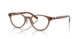 Brown Transparent On Pink / Demo Lens (8255)
