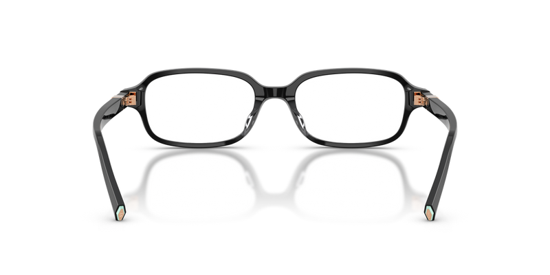 Tiffany TF2307D in Black - Temple Detail