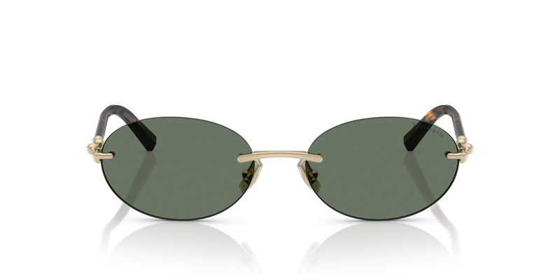 Tiffany TF3104D in Pale Gold / Dark Green (623882) - Alternate View