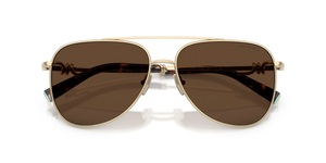 Pale Gold / Light Brown (61933G)