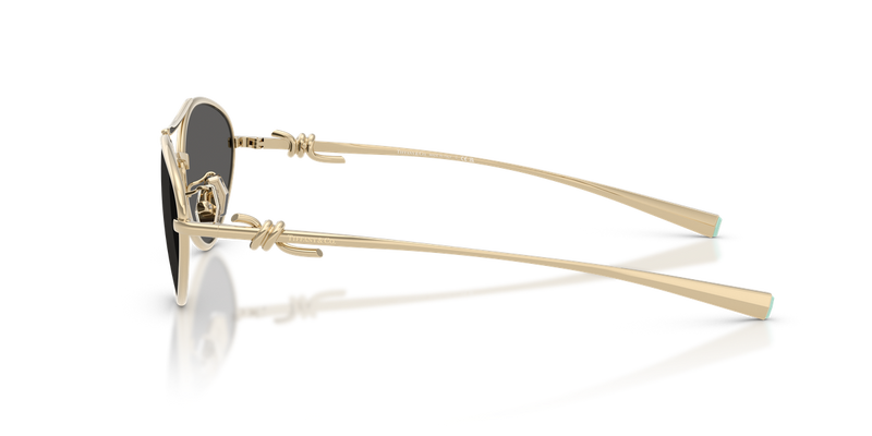 Tiffany TF3117 in Pale Gold / Dark Grey (6021S4) - Alternate View
