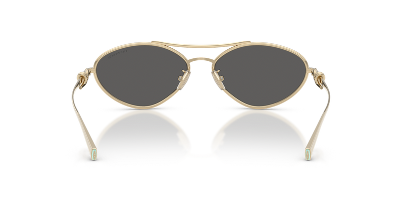 Tiffany TF3117 in Pale Gold / Dark Grey (6021S4) - Alternate View