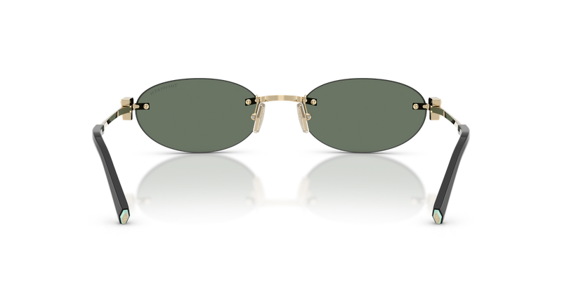 Tiffany TF3119D in Pale Gold / Dark Green (623882) - Alternate View