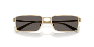 Pale Gold Plated / Dark Grey (6220B1)