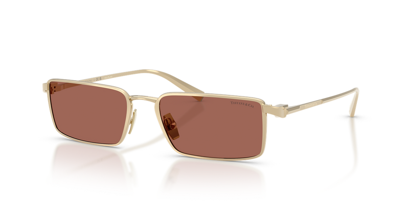 Tiffany TF3121KB in Pale Gold Plated / Brown (6244H2) - Alternate View