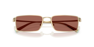 Pale Gold Plated / Brown (6244H2)