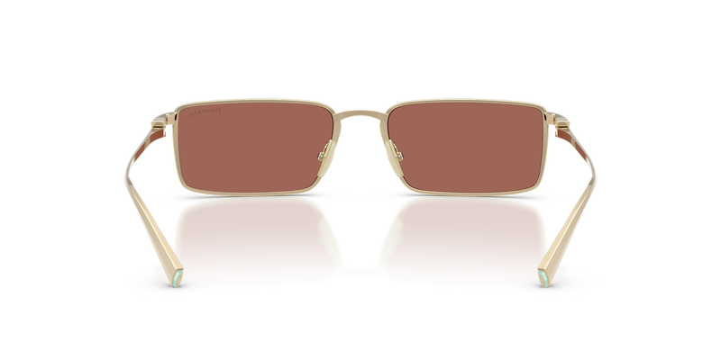 Tiffany TF3121KB in Pale Gold Plated / Brown (6244H2) - Alternate View