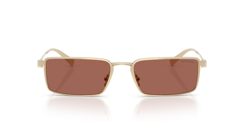 Tiffany TF3121KB in Pale Gold Plated / Brown (6244H2) - Alternate View