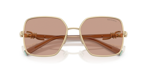 Pale Gold / Brown (602173)