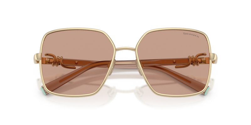 Tiffany TF3122 in Pale Gold - Alternate View