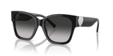 Black / Grey Gradient (80013C)