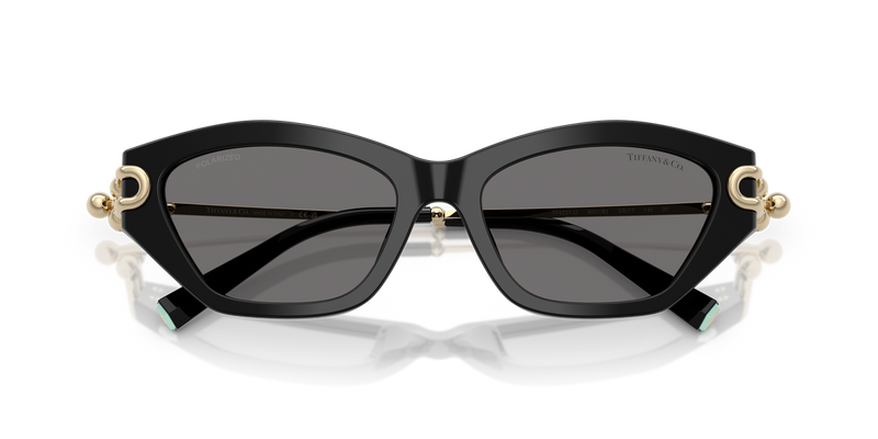 Tiffany TF4231U in Black - Alternate View