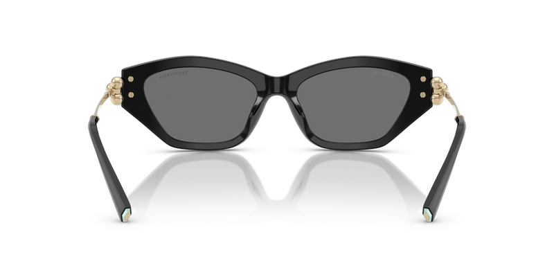 Tiffany TF4231U in Black - Alternate View