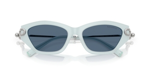 Frosted Pale Sapphire / Dark Blue (843680)