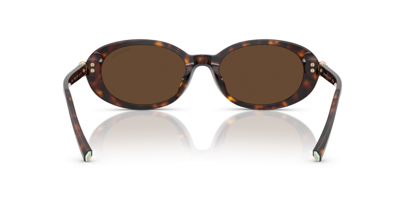 Tiffany TF4242D in Havana / Light Brown (80153G) - Alternate View