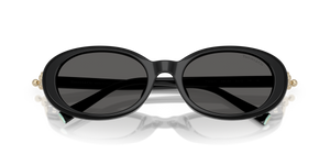 Black / Dark Grey (8361S4)