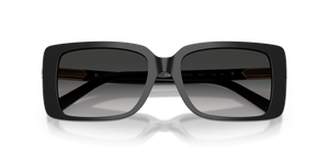 Black / Grey Gradient (80013C)