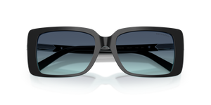 Black On Tiffany Blue / Azure Gradient Blue (80559S)