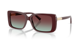 Burgundy / Azure/Burgundy (8389V5)