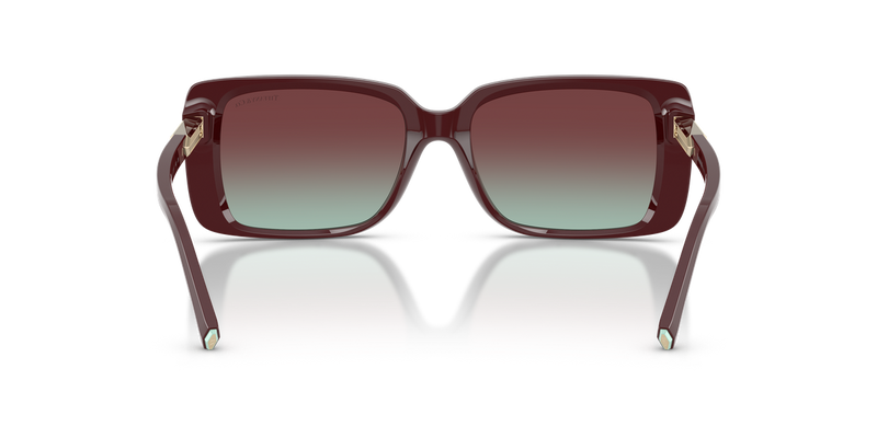 Tiffany TF4249 in Burgundy / Azure/Burgundy (8389V5) - Alternate View