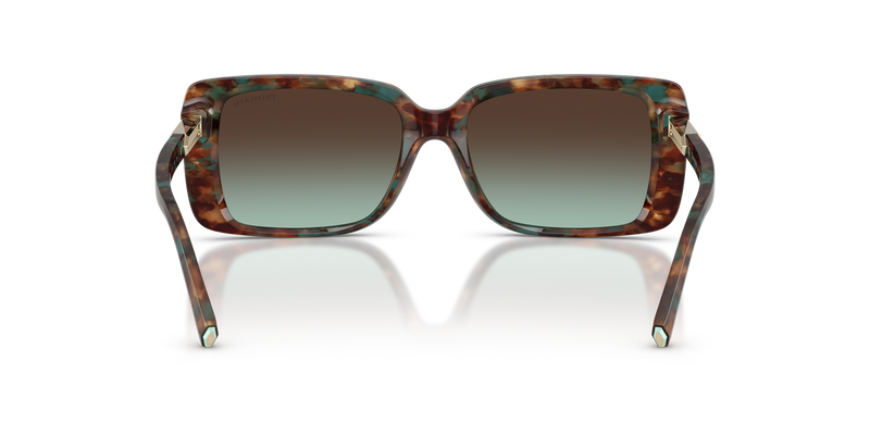 Tiffany TF4249 in Brown Tiffany Havana / Azure Gradient Brown (84425D) - Alternate View