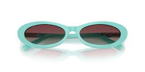 Tiffany Blue / Azure/Burgundy (8388V5)