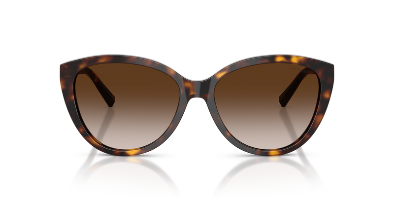 Tiffany TF4251F in Havana / Brown Gradient (80153B) - Alternate View