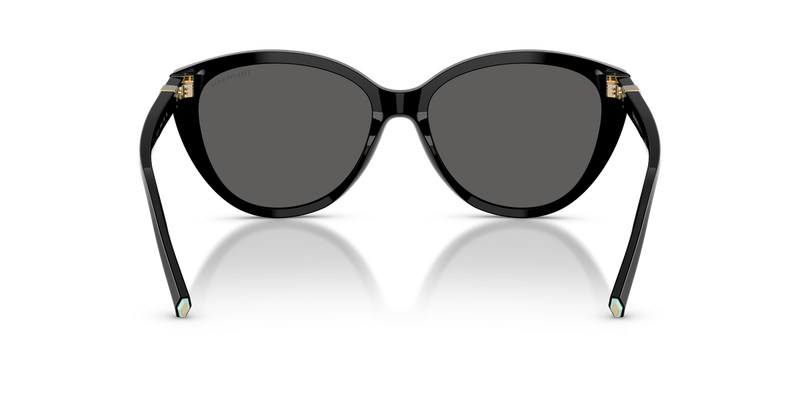 Tiffany TF4251 in Black / Dark Grey (8001S4) - Temple Detail