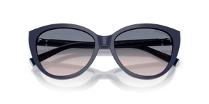 Solid Dark Blue / Light Brown Gradient Blue (839616)